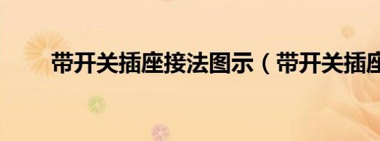带开关插座接法图示（带开关插座）