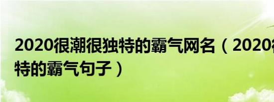 2020很潮很独特的霸气网名（2020很潮很独特的霸气句子）