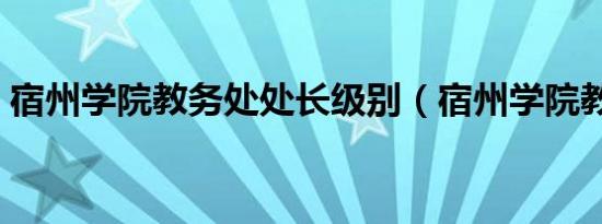 宿州学院教务处处长级别（宿州学院教务处）