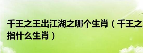 千王之王出江湖之哪个生肖（千王之王出江湖指什么生肖）