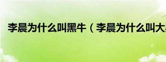 李晨为什么叫黑牛（李晨为什么叫大黑牛）