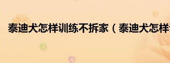 泰迪犬怎样训练不拆家（泰迪犬怎样训练）
