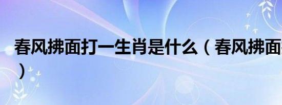 春风拂面打一生肖是什么（春风拂面打一生肖）