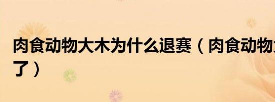 肉食动物大木为什么退赛（肉食动物大木怎么了）