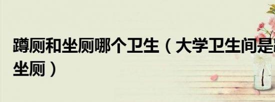 蹲厕和坐厕哪个卫生（大学卫生间是蹲厕还是坐厕）
