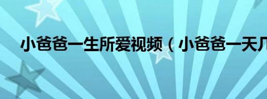小爸爸一生所爱视频（小爸爸一天几集）