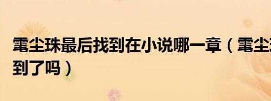 雮尘珠最后找到在小说哪一章（雮尘珠最后找到了吗）
