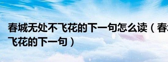 春城无处不飞花的下一句怎么读（春城无处不飞花的下一句）