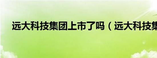 远大科技集团上市了吗（远大科技集团）