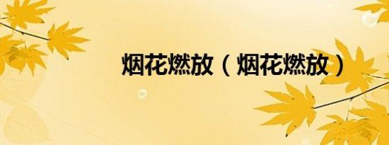烟花燃放（烟花燃放）
