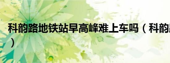 科韵路地铁站早高峰难上车吗（科韵路地铁站）