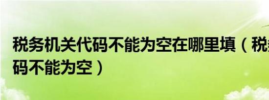 税务机关代码不能为空在哪里填（税务机关代码不能为空）