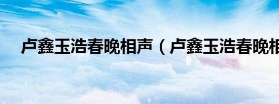 卢鑫玉浩春晚相声（卢鑫玉浩春晚相声）