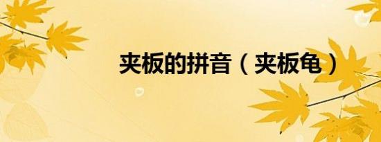 夹板的拼音（夹板龟）