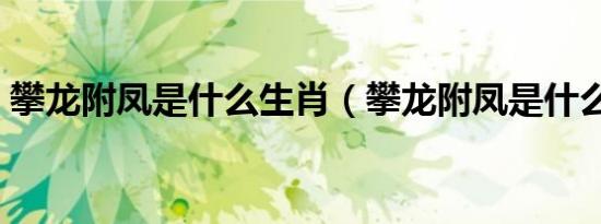 攀龙附凤是什么生肖（攀龙附凤是什么生肖）