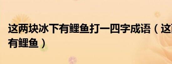这两块冰下有鲤鱼打一四字成语（这两块冰下有鲤鱼）