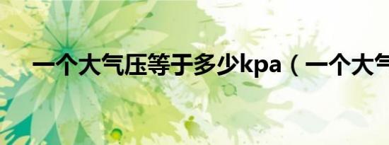 一个大气压等于多少kpa（一个大气压）