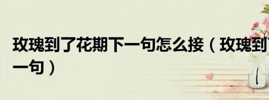 玫瑰到了花期下一句怎么接（玫瑰到了花期下一句）