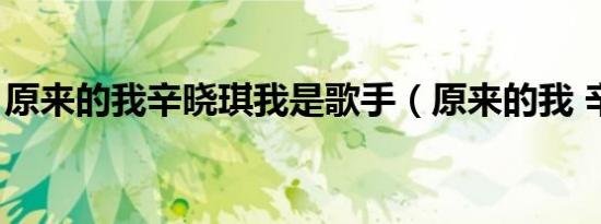 原来的我辛晓琪我是歌手（原来的我 辛晓琪）