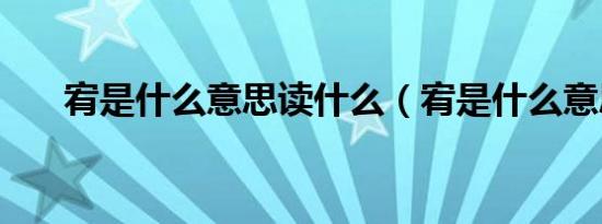 宥是什么意思读什么（宥是什么意思）
