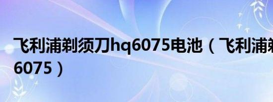 飞利浦剃须刀hq6075电池（飞利浦剃须刀hq6075）