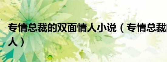 专情总裁的双面情人小说（专情总裁的双面情人）