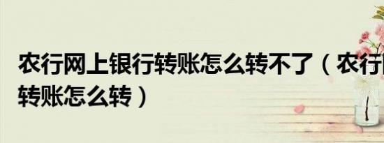 农行网上银行转账怎么转不了（农行网上银行转账怎么转）