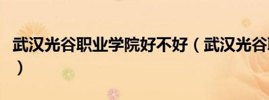 武汉光谷职业学院好不好（武汉光谷职业学院）