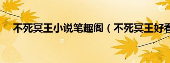 不死冥王小说笔趣阁（不死冥王好看吗）