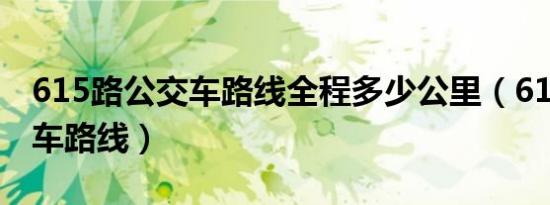 615路公交车路线全程多少公里（615路公交车路线）