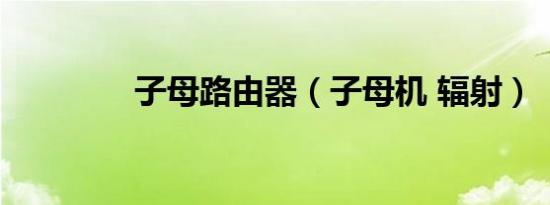 子母路由器（子母机 辐射）