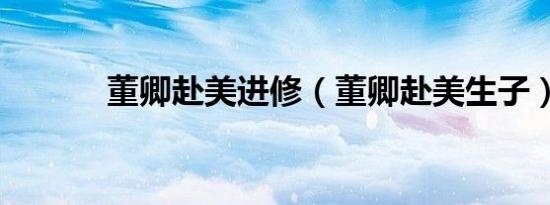 董卿赴美进修（董卿赴美生子）