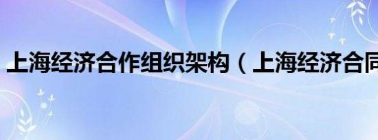 上海经济合作组织架构（上海经济合同律师）