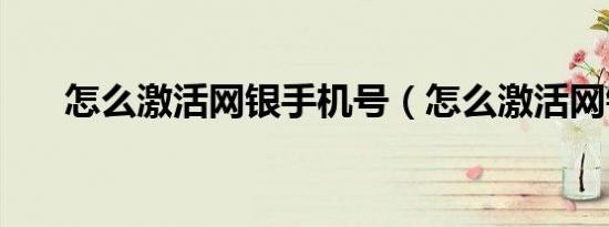 怎么激活网银手机号（怎么激活网银）