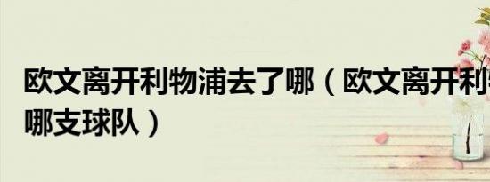欧文离开利物浦去了哪（欧文离开利物浦去了哪支球队）
