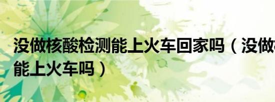 没做核酸检测能上火车回家吗（没做核酸检测能上火车吗）
