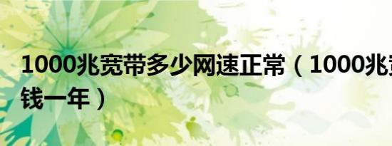 1000兆宽带多少网速正常（1000兆宽带多少钱一年）