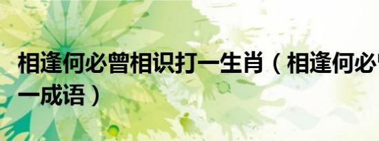 相逢何必曾相识打一生肖（相逢何必曾相识打一成语）