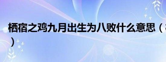 栖宿之鸡九月出生为八败什么意思（栖宿之鸡）