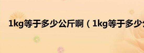 1kg等于多少公斤啊（1kg等于多少公斤）