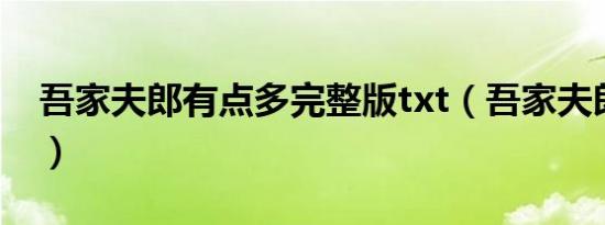 吾家夫郎有点多完整版txt（吾家夫郎有点多）