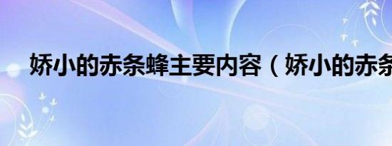 娇小的赤条蜂主要内容（娇小的赤条蜂）