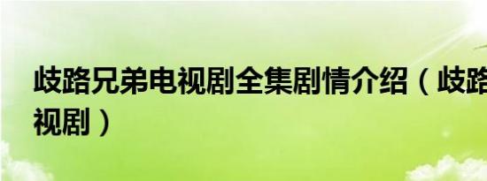 歧路兄弟电视剧全集剧情介绍（歧路兄弟 电视剧）