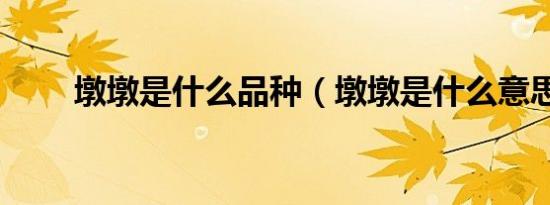 墩墩是什么品种（墩墩是什么意思）