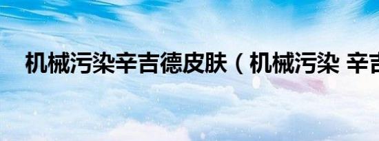 机械污染辛吉德皮肤（机械污染 辛吉德）