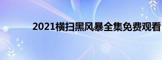 2021横扫黑风暴全集免费观看