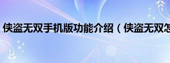 侠盗无双手机版功能介绍（侠盗无双怎么用）