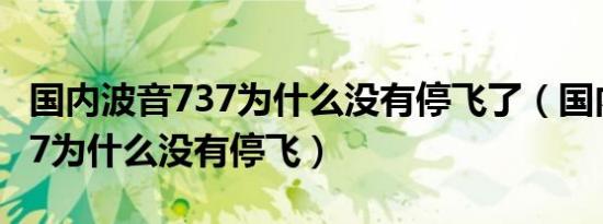 国内波音737为什么没有停飞了（国内波音737为什么没有停飞）