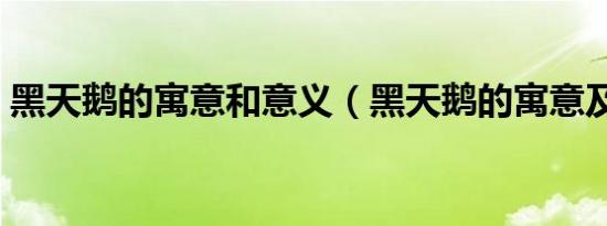 黑天鹅的寓意和意义（黑天鹅的寓意及象征）