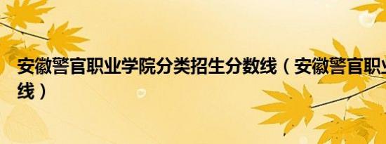 安徽警官职业学院分类招生分数线（安徽警官职业学院分数线）